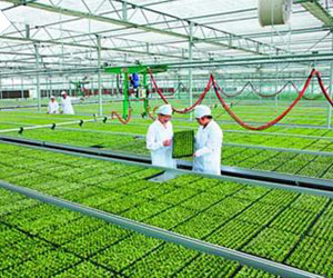 �τ�(chu��ng)�a(ch��n)�I(y��)-�F(xi��n)���r(n��ng)�I(y��)